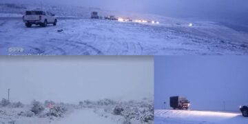 WATCH: Snow, icy weather turn parts of SA into winter wonderland