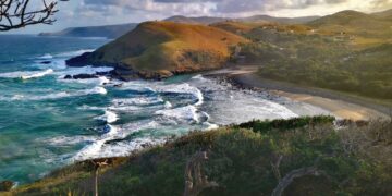 coffee bay