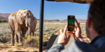 muslim-friendly aquila private game reserve