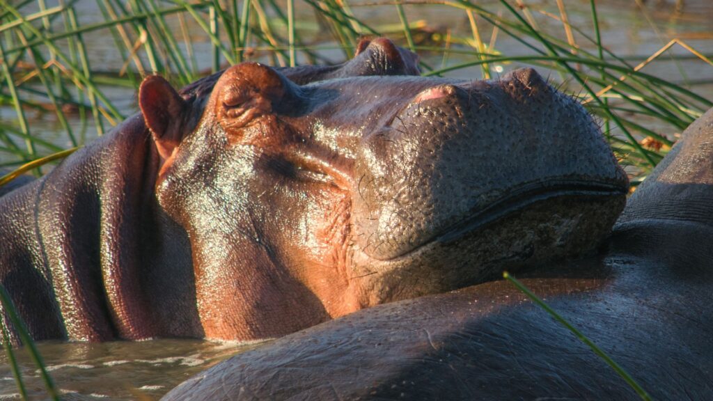 iSimangaliso Wetland Park