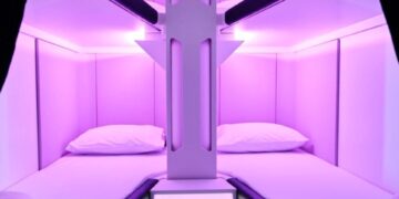 air new zealand skynests