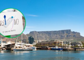 V&A Waterfront single-use plastics