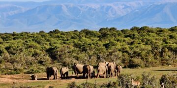 SANParks discount