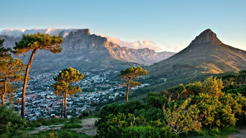 netball world cup cape town