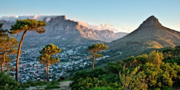 netball world cup cape town