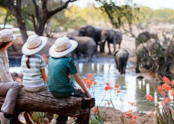 kruger national park