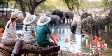 kruger national park