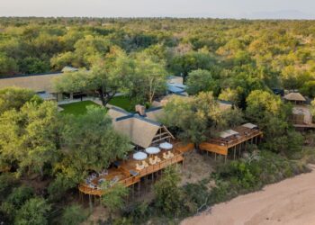 Thornybush game lodge