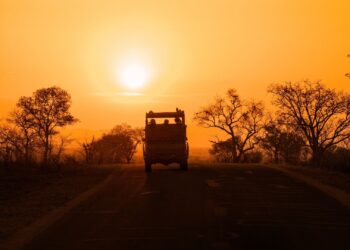 kruger national park VR