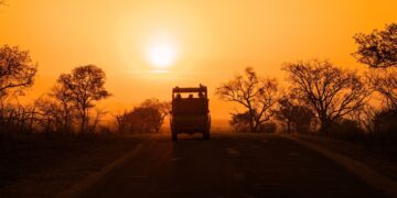 kruger national park VR