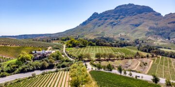 world's best vineyards western cape