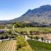 world's best vineyards western cape