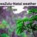 South africa weather forecast