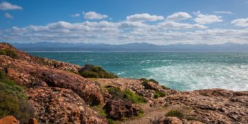 Plettenberg Bay whale heritage site