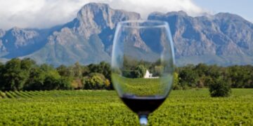 stellenbucks stellenbosch