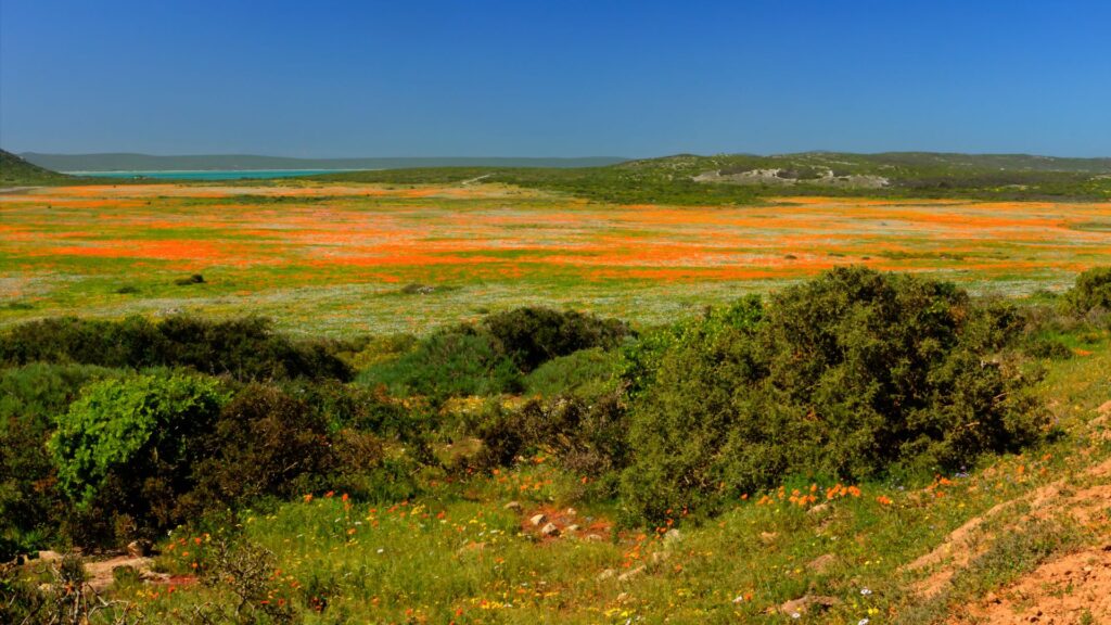 national parks week sanparks