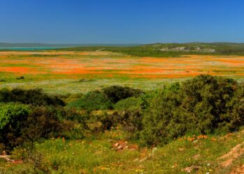 national parks week sanparks