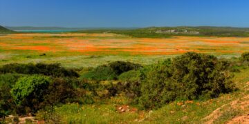 national parks week sanparks