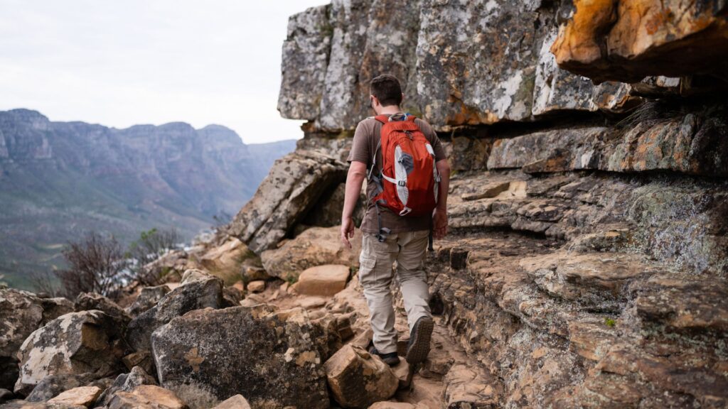 Table Mountain National Park