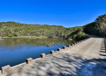 eastern cape nature reserves free access week