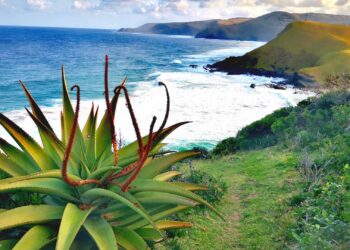 eastern cape wild coast