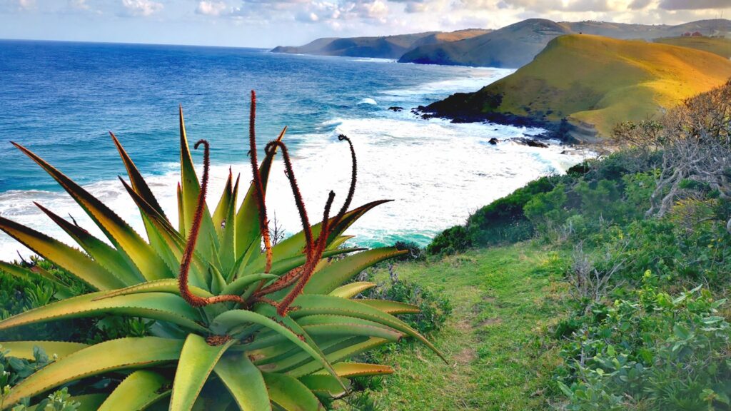 wild coast eastern cape