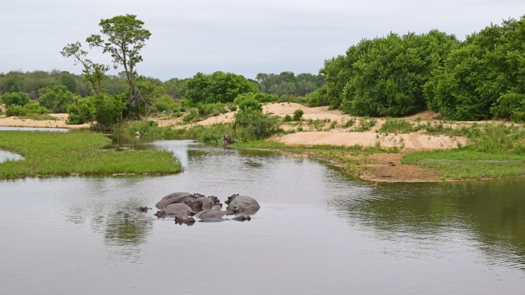 national parks week kruger national park