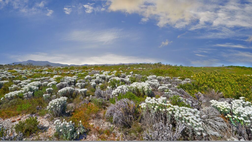 national parks week national park