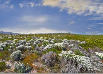 national parks week national park