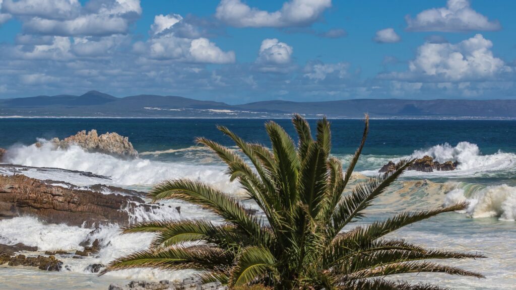 CapeNature grootbos