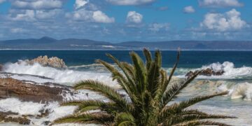 CapeNature grootbos