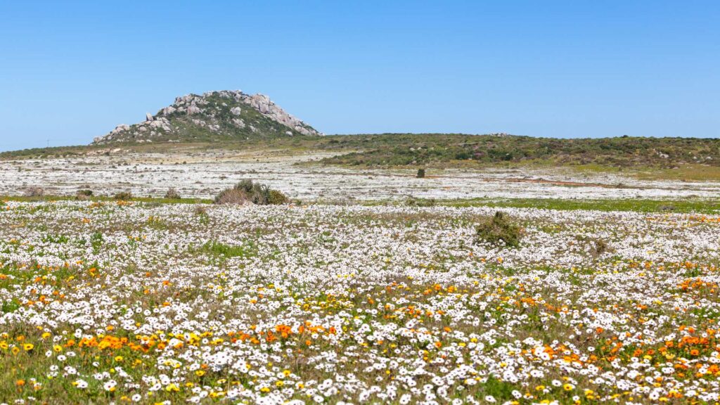 west coast national park